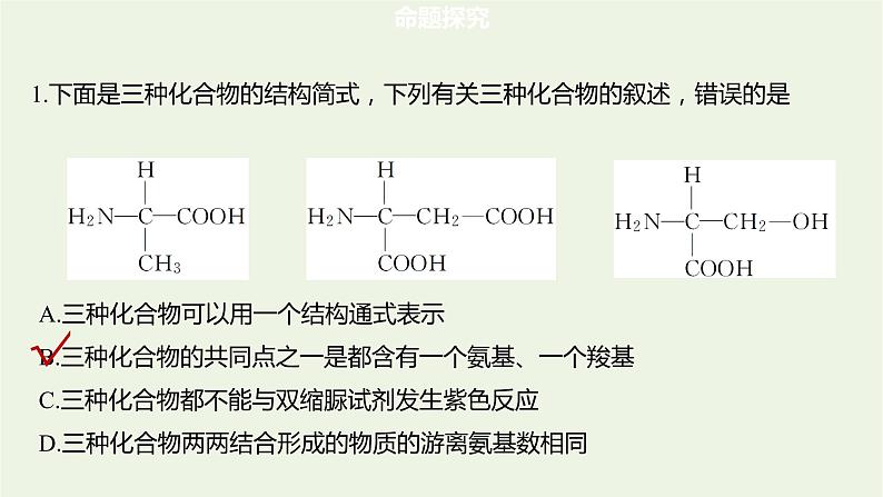 2022届新教材高考生物一轮复习第一单元细胞的概述及分子组成第03讲蛋白质和核酸课件07