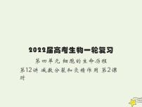 2022届新教材高考生物一轮复习第四单元细胞的生命历程第12讲减数分裂和受精作用第2课时课件