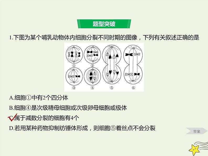 2022届新教材高考生物一轮复习第四单元细胞的生命历程第12讲减数分裂和受精作用第2课时课件06