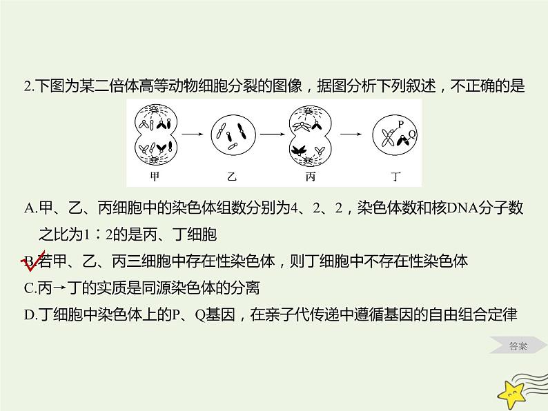 2022届新教材高考生物一轮复习第四单元细胞的生命历程第12讲减数分裂和受精作用第2课时课件07