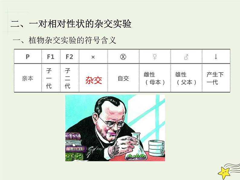 2022届新教材高考生物一轮复习第五单元遗传的基本规律第14讲第1课时分离定律发现及应用课件06