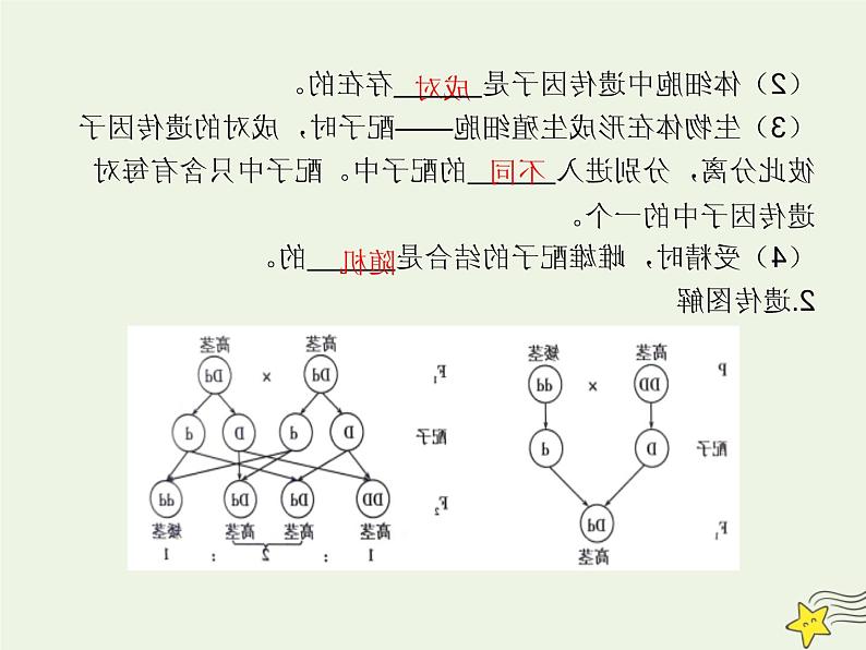 2022届新教材高考生物一轮复习第五单元遗传的基本规律第14讲第1课时分离定律发现及应用课件08