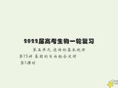 2022届新教材高考生物一轮复习第五单元遗传的基本规律第15讲第1课时自由组合定律的发现及应用课件