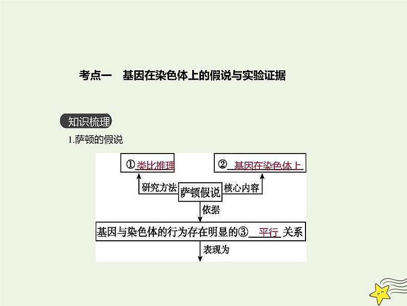 2022届新教材高考生物一轮复习第五单元遗传的基本规律第16讲第1课时伴性遗传及其应用课件第3页