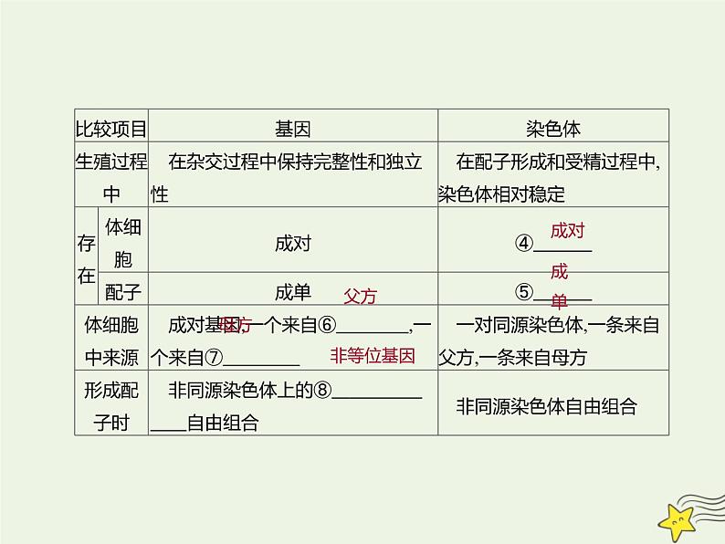 2022届新教材高考生物一轮复习第五单元遗传的基本规律第16讲第1课时伴性遗传及其应用课件第4页