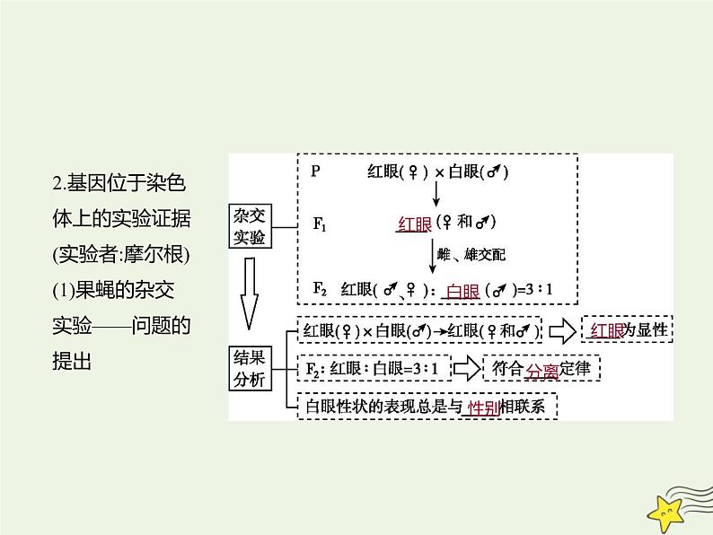 2022届新教材高考生物一轮复习第五单元遗传的基本规律第16讲第1课时伴性遗传及其应用课件第5页