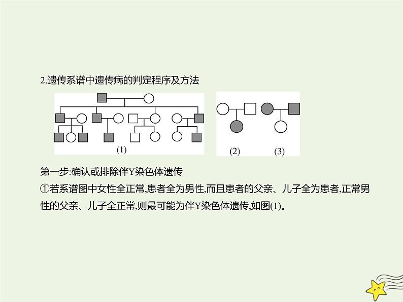 2022届新教材高考生物一轮复习第五单元遗传的基本规律第16讲第2课时人类遗传病的类型及其检测和预防课件第4页