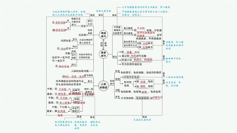 人教版新高考生物二轮复习课件--动物和人体生命活动的调节第4页