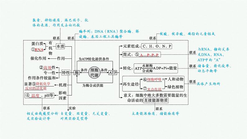 人教版新高考生物二轮复习课件--酶和ATP04