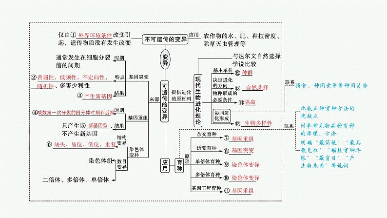 人教版新高考生物二轮复习课件--生物变异、育种与进化第4页