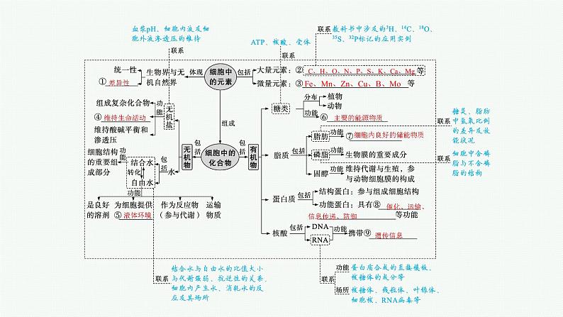 人教版新高考生物二轮复习课件--细胞的分子基础第4页