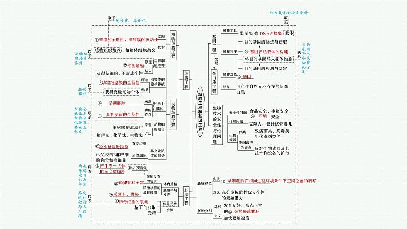 人教版新高考生物二轮复习课件--细胞工程和基因工程第4页