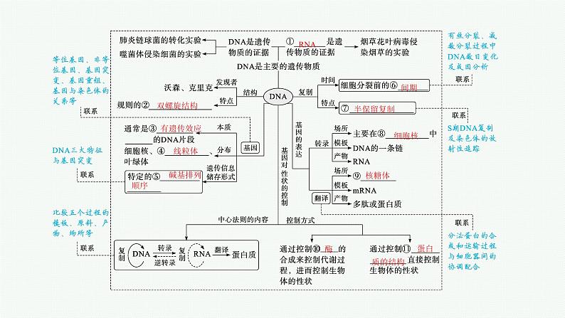 人教版新高考生物二轮复习课件--遗传的分子基础第4页