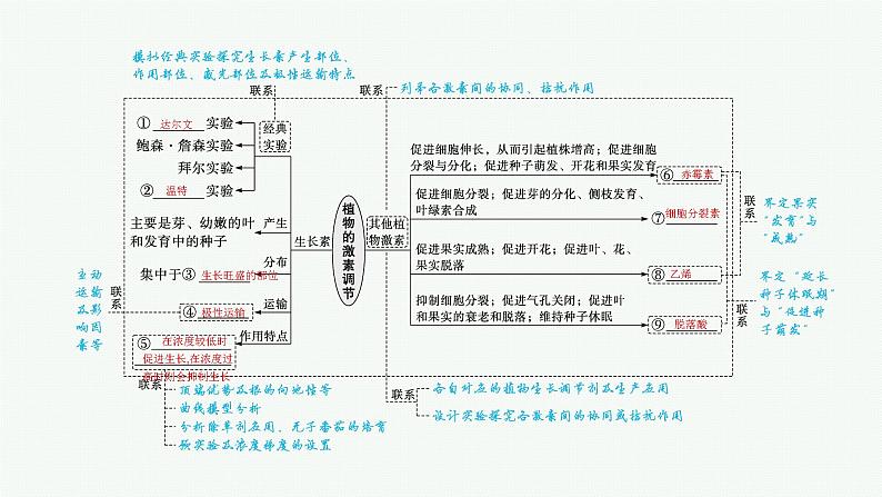 人教版新高考生物二轮复习课件--植物激素调节04