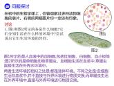 人教版（2019）高二生物选择性必修1-1.1 细胞生活的环境课件PPT