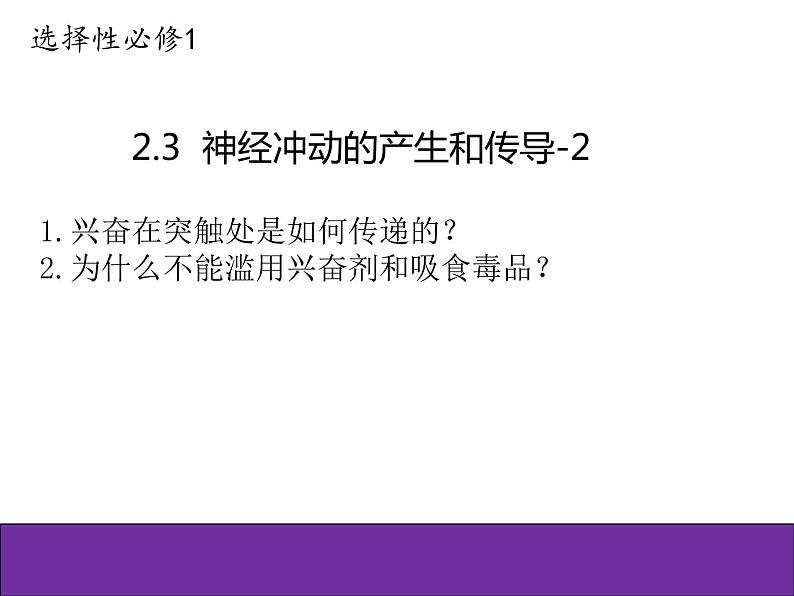 人教版（2019）高二生物选择性必修1-2.3神经冲动的产生和传导-2课件PPT第1页