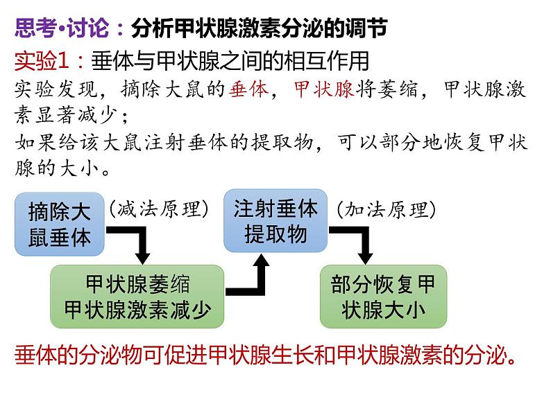 人教版（2019）高二生物选择性必修1-3.2激素调节的过程-2课件PPT第4页