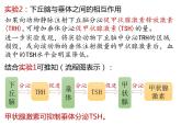 人教版（2019）高二生物选择性必修1-3.2激素调节的过程-2课件PPT