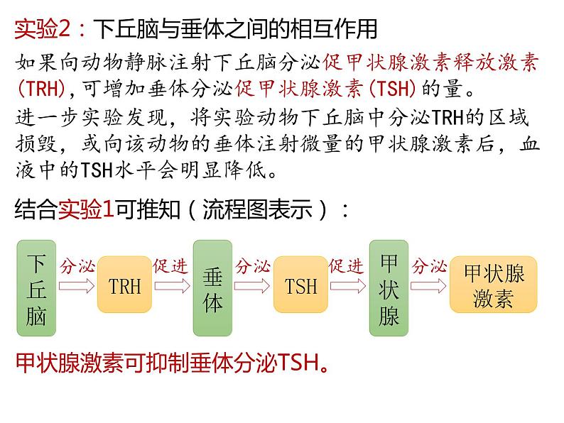 人教版（2019）高二生物选择性必修1-3.2激素调节的过程-2课件PPT第5页