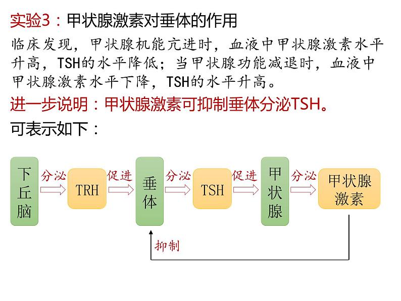 人教版（2019）高二生物选择性必修1-3.2激素调节的过程-2课件PPT第6页