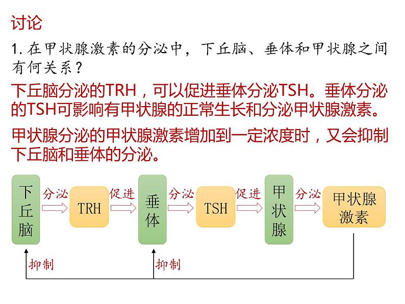 人教版（2019）高二生物选择性必修1-3.2激素调节的过程-2课件PPT第7页
