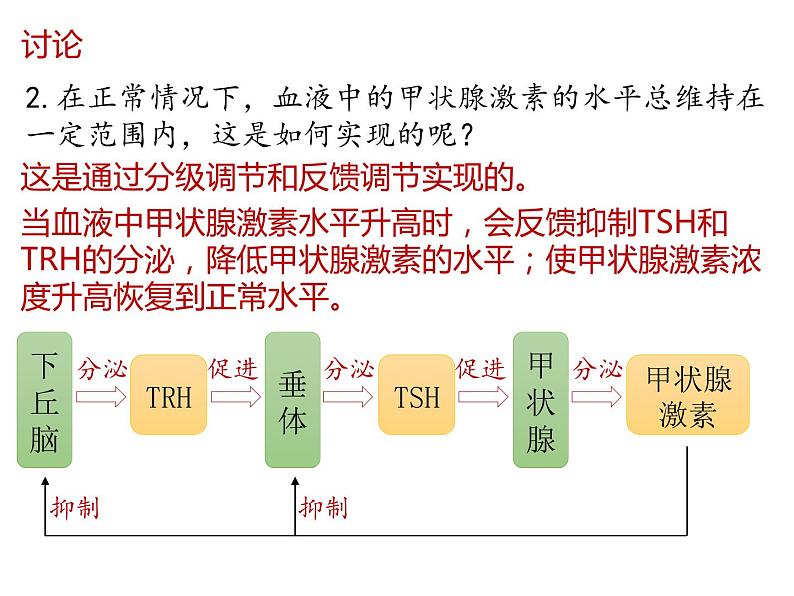 人教版（2019）高二生物选择性必修1-3.2激素调节的过程-2课件PPT第8页
