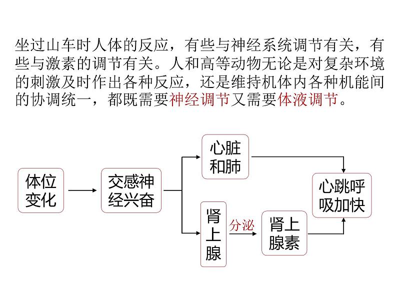 人教版（2019）高二生物选择性必修1-3.3体液调节与神经调节的关系课件PPT04