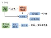 人教版（2019）高二生物选择性必修1-4.4免疫学的应用课件PPT