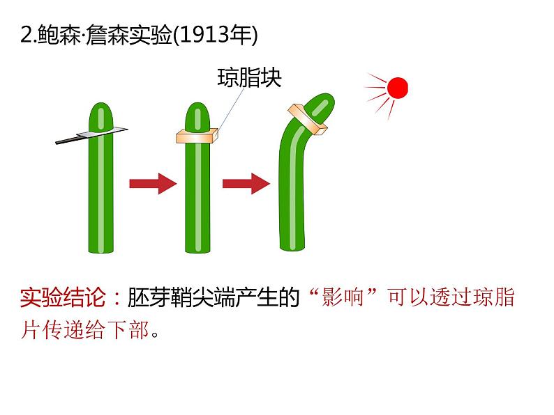 人教版（2019）高二生物选择性必修1-5.1植物生长素-1课件PPT08