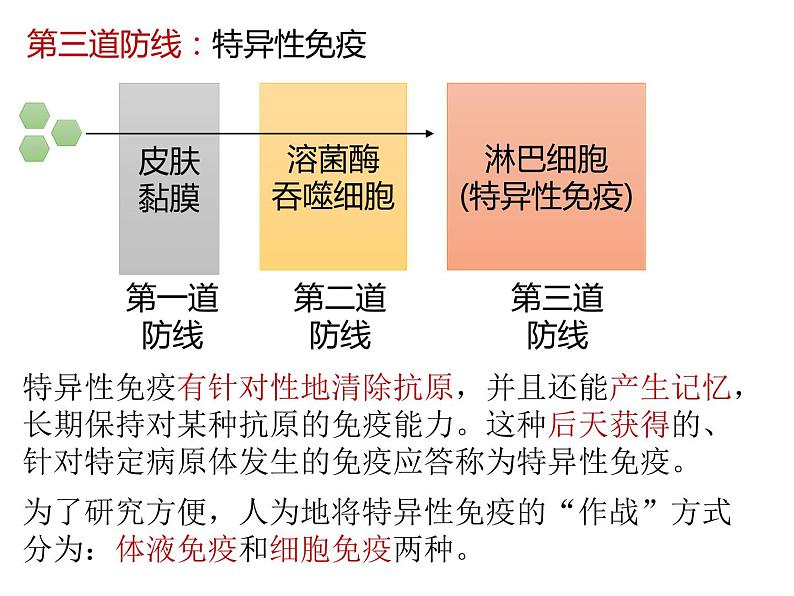 人教版（2019）高二生物选择性必修1-4.2特异性免疫-1课件PPT第7页