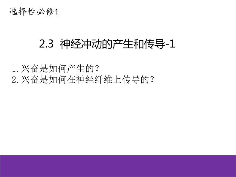 人教版（2019）高二生物选择性必修1-2.3神经冲动的产生和传导-1课件PPT01