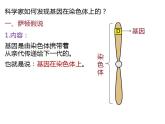 人教版（2019）高二生物必修2-2.2基因在染色体上(2)课件PPT