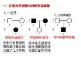 人教版（2019）高二生物必修2-2.3伴性遗传-2课件PPT