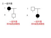 人教版（2019）高二生物必修2-2.3伴性遗传-2课件PPT
