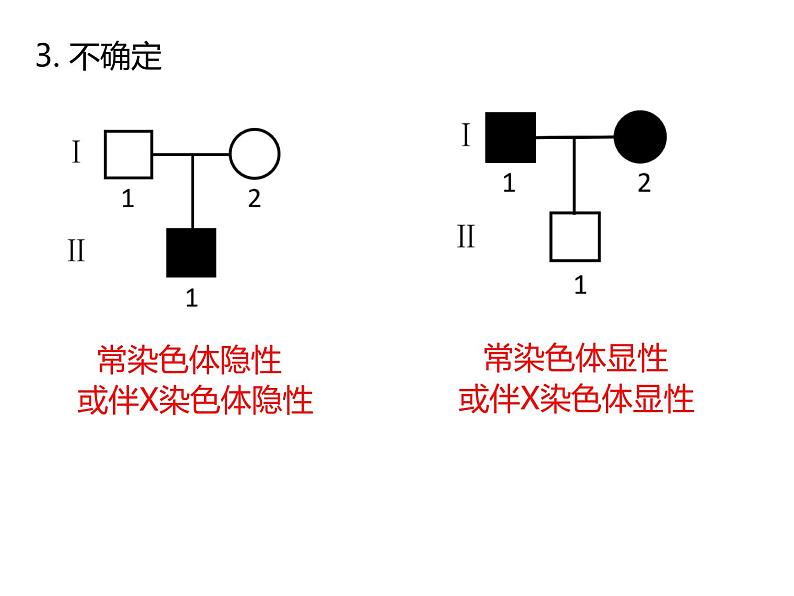 人教版（2019）高二生物必修2-2.3伴性遗传-2课件PPT06