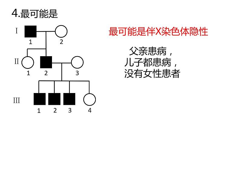 人教版（2019）高二生物必修2-2.3伴性遗传-2课件PPT08