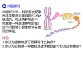 人教版（2019）高二生物必修2-3.1DNA是主要的遗传物质-1课件PPT