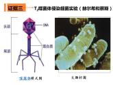 人教版（2019）高二生物必修2-3.1DNA是主要的遗传物质-2课件PPT