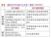 人教版（2019）高二生物必修2-3.4基因通常是有遗传效应的DNA片段课件PPT