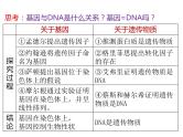 人教版（2019）高二生物必修2-3.4基因通常是有遗传效应的DNA片段课件PPT
