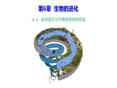 人教版（2019）高二生物必修2-6.4 协同进化与生物多样性的形成课件PPT