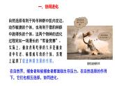 人教版（2019）高二生物必修2-6.4 协同进化与生物多样性的形成课件PPT