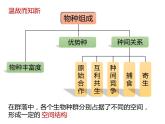 人教版（2019）高二生物选择性必修2-2.1群落的结构-2课件PPT