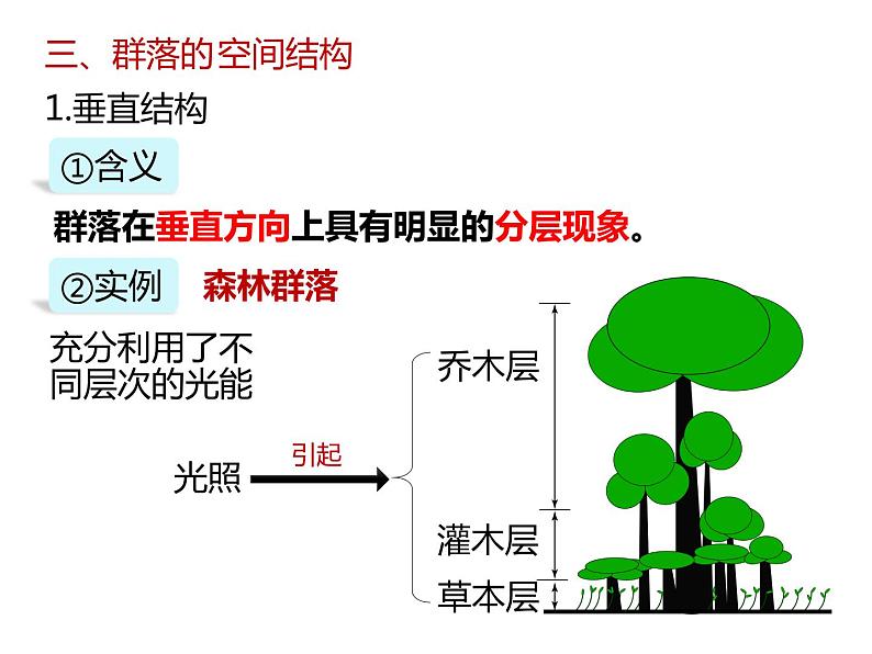 人教版（2019）高二生物选择性必修2-2.1群落的结构-2课件PPT第3页