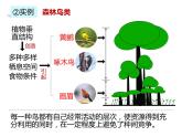 人教版（2019）高二生物选择性必修2-2.1群落的结构-2课件PPT