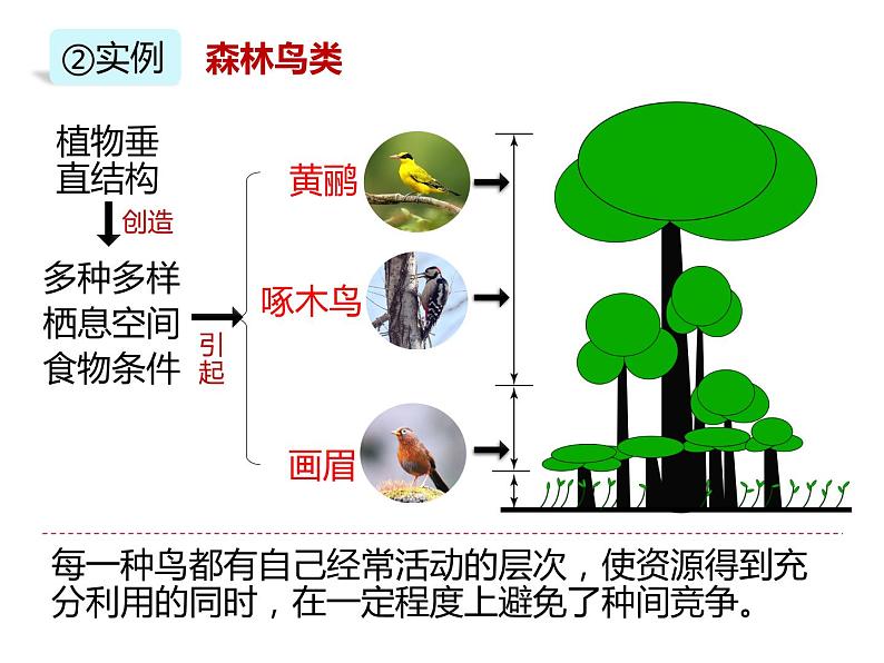 人教版（2019）高二生物选择性必修2-2.1群落的结构-2课件PPT第4页