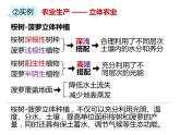 人教版（2019）高二生物选择性必修2-2.1群落的结构-2课件PPT