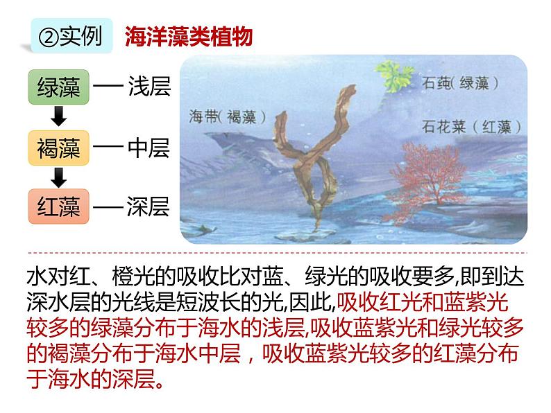 人教版（2019）高二生物选择性必修2-2.1群落的结构-2课件PPT第6页