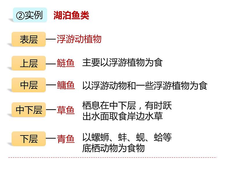 人教版（2019）高二生物选择性必修2-2.1群落的结构-2课件PPT第8页