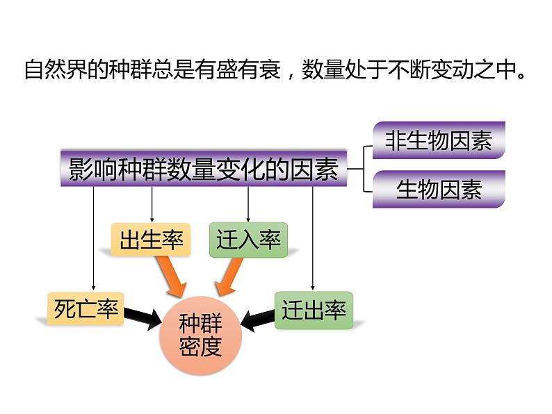 人教版（2019）高二生物选择性必修2-1.3影响种群数量变化的因素课件PPT第4页